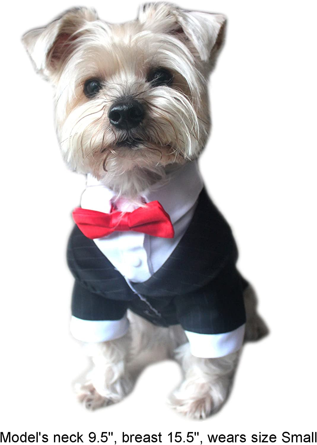 Pet - Oscar Formal Tuxedo with Black Tie and Red Bow Tie - Color: Black, Size: Small