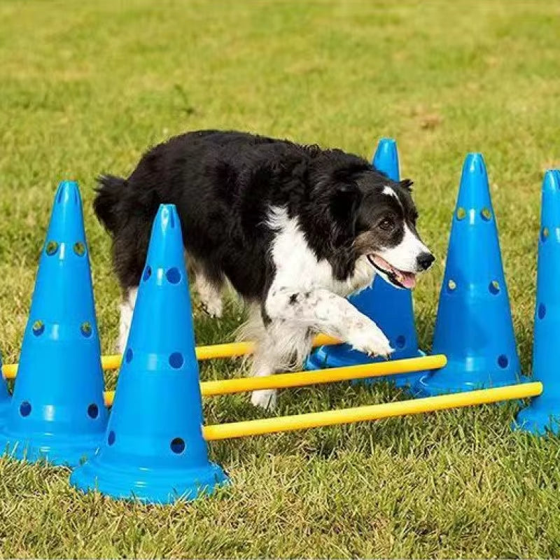 Pet Agility Training Set Jumping Bar Dog Obstacle Training Equipment Hurdle Training Dog Training Device Pet Supplies