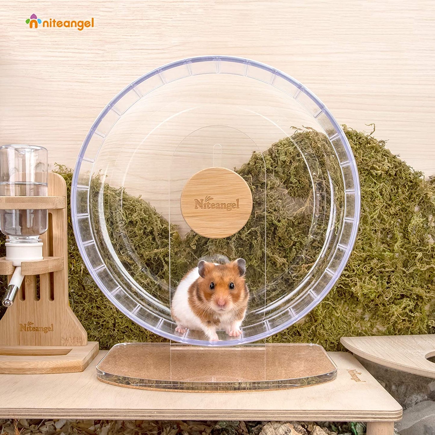 Super-Silent Hamster Exercise Wheels - Quiet Spinner Hamster Running Wheels with Adjustable Stand for Hamsters Gerbils Mice or Other Small Animals (M, Transparent)