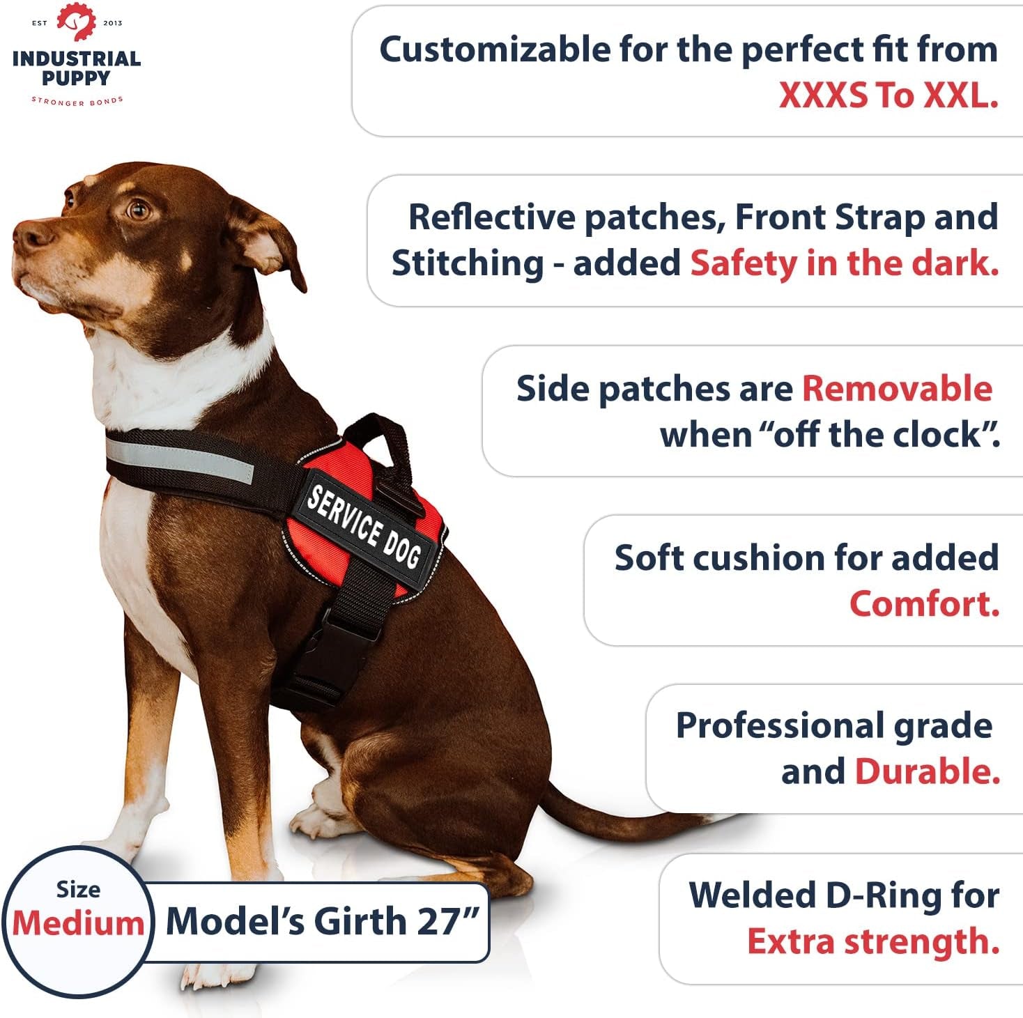 Service Dog Vest & Leash Set - Reflective, Mesh Design, Sizes XXS-XX