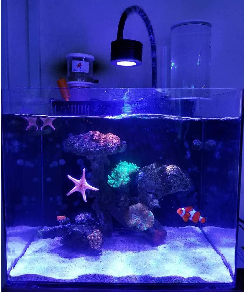 LED Aquarium Light, Nano Coral Reef Light Clip on Aquarium Light Full Spectrum Remote Control Fish Tank Lamp Dimmable for Saltwater Fish Tank (Saltwater)