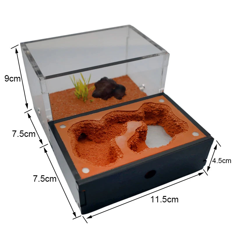 Yellow Soil Ant Farm with External Water Tower and Garbage Area Queen Breeding Area Ant Nest Anthill Castle Ant House Insect Box