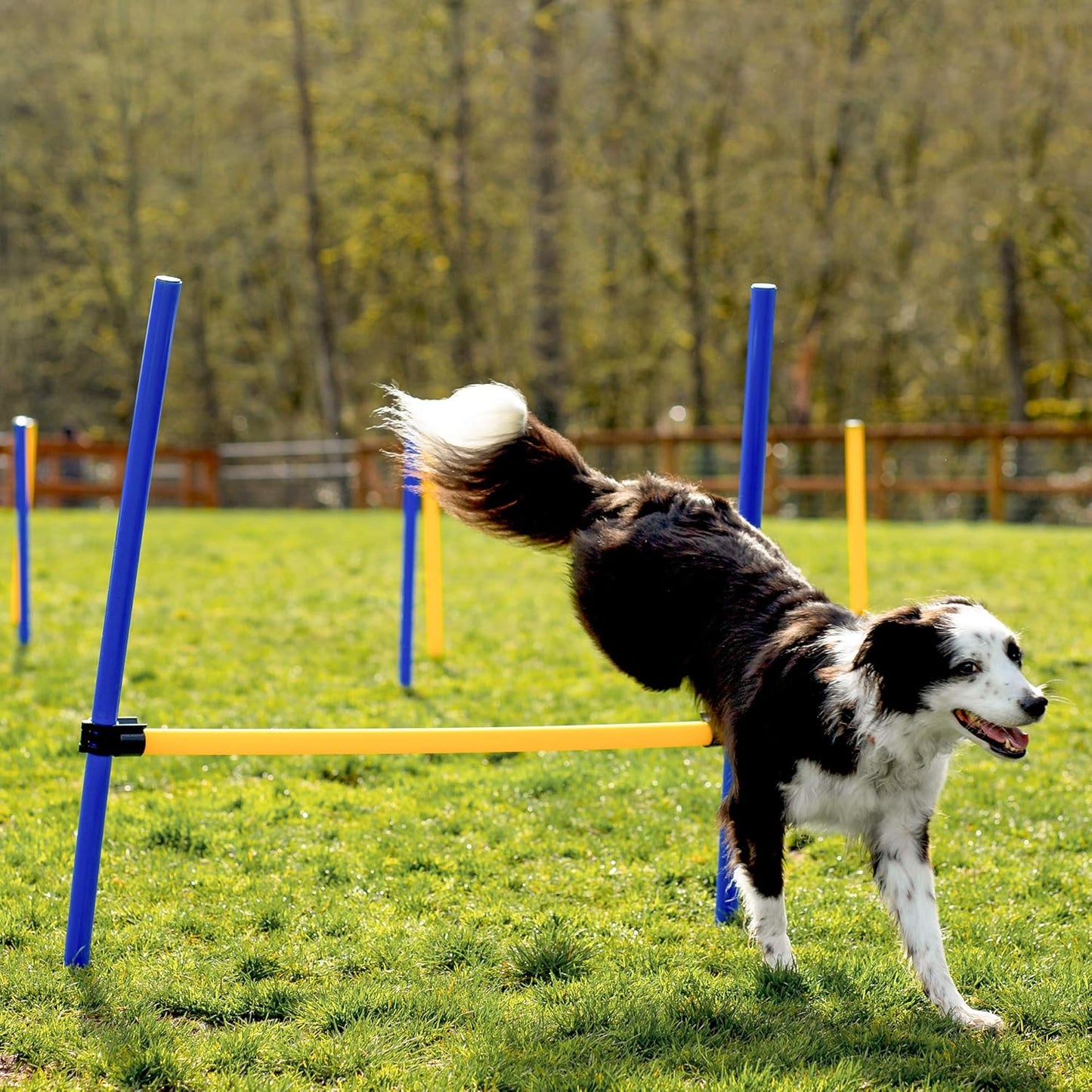 Dog Agility Training Equipment, 28 Piece Dog Obstacle Course, Training and Interactive Play Includes Dog Tunnel, Adjustable Hurdles, Poles, Whistle, Rope Toy with Carrying Case