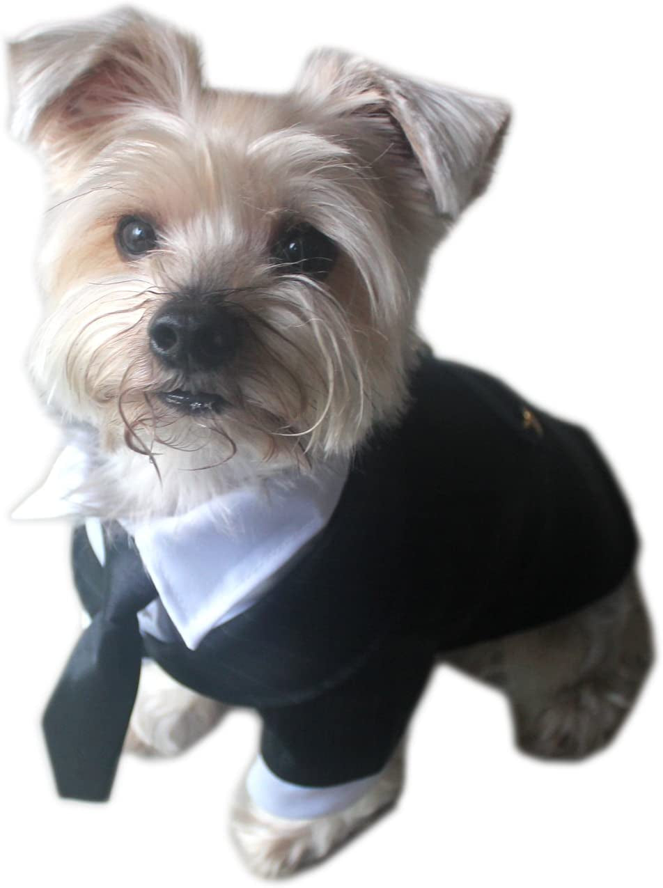 Pet - Oscar Formal Tuxedo with Black Tie and Red Bow Tie - Color: Black, Size: Small