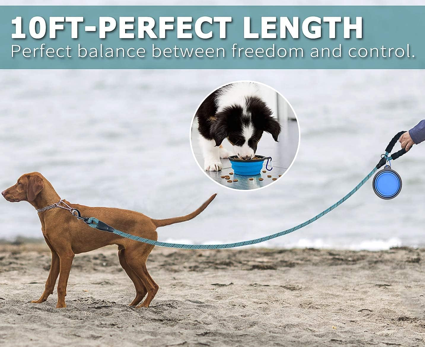 10FT Durable Dog Leash - Non-Reflective, Comfortable Handle, with Bowl & Bags (Blue)